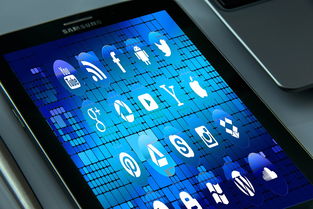 九游官网入口-体育社交App用户行为路径与交互机制研究，体育用户特点